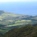 Trilho - Pico da Vara 016